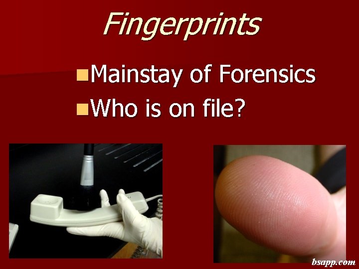 Fingerprints n. Mainstay of Forensics n. Who is on file? bsapp. com 