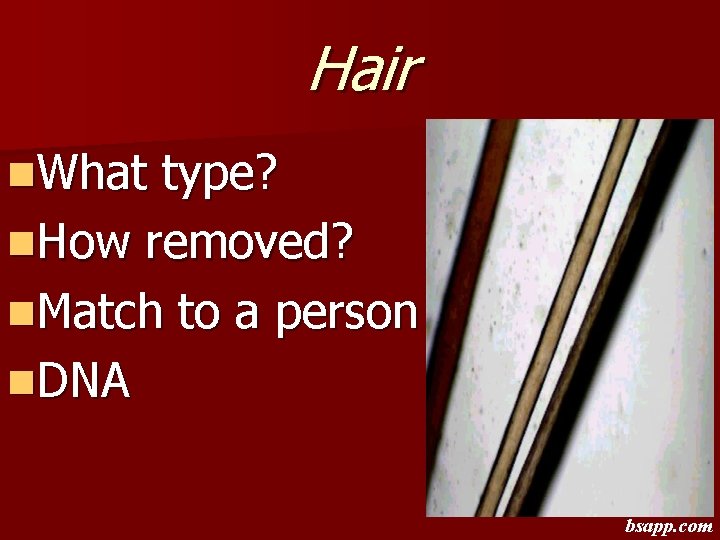 Hair n. What type? n. How removed? n. Match to a person n. DNA