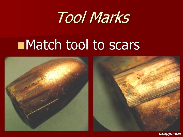 Tool Marks n. Match tool to scars bsapp. com 