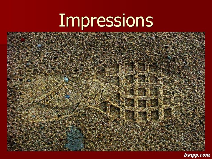 Impressions bsapp. com 