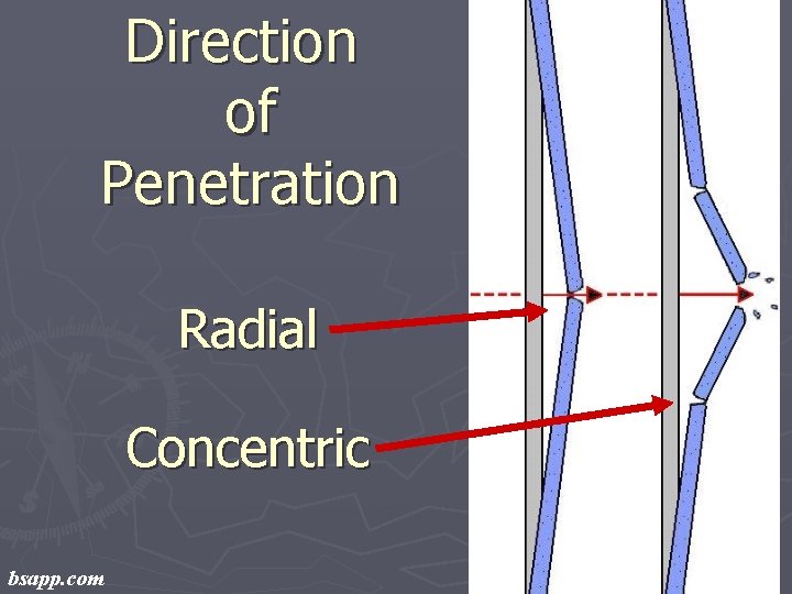 Direction of Penetration Radial Concentric bsapp. com 