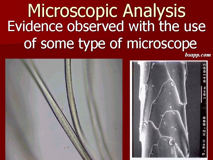 Microscopic Analysis Evidence observed with the use of some type of microscope bsapp. com