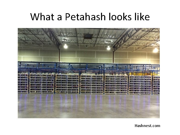 What a Petahash looks like Hashnest. com 