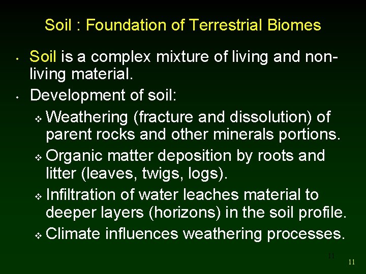 Soil : Foundation of Terrestrial Biomes • • Soil is a complex mixture of