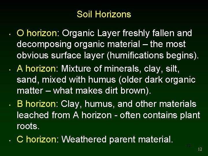 Soil Horizons • • O horizon: Organic Layer freshly fallen and decomposing organic material