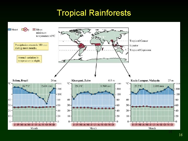 Tropical Rainforests 16 16 