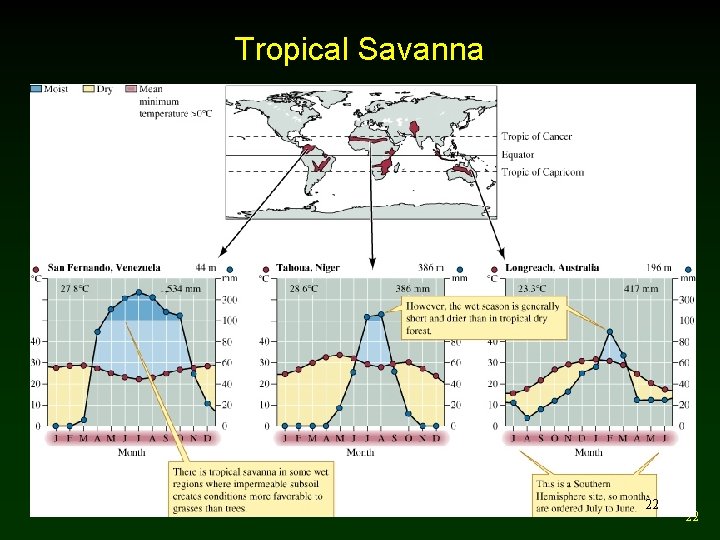 Tropical Savanna 22 22 