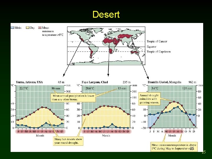 Desert 25 25 