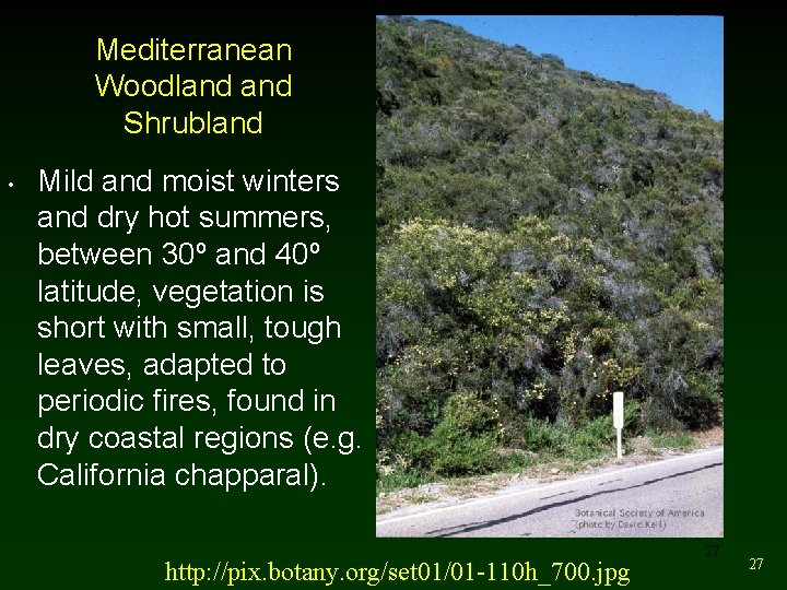 Mediterranean Woodland Shrubland • Mild and moist winters and dry hot summers, between 30º