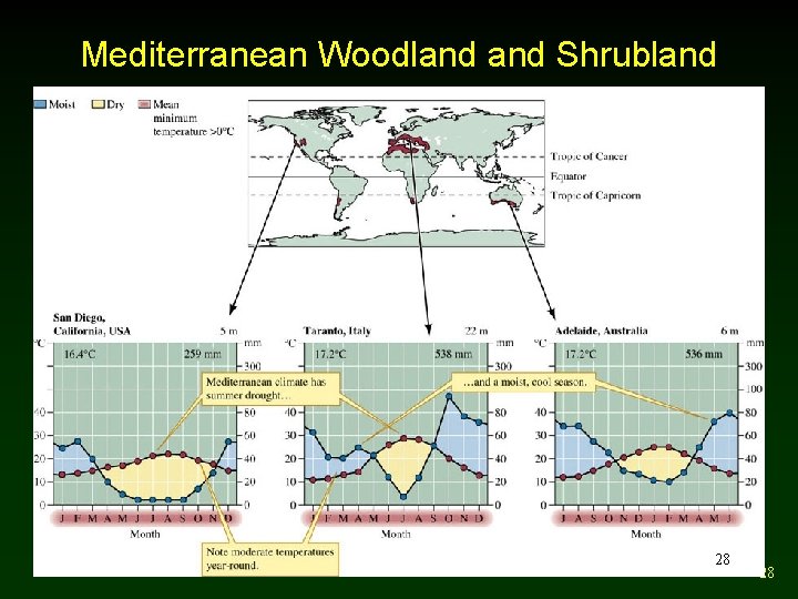 Mediterranean Woodland Shrubland 28 28 