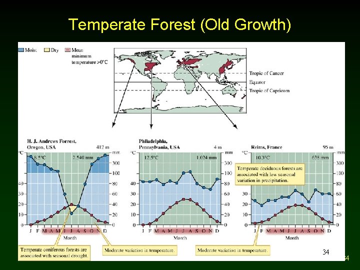 Temperate Forest (Old Growth) 34 34 