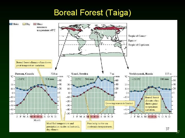 Boreal Forest (Taiga) 37 37 