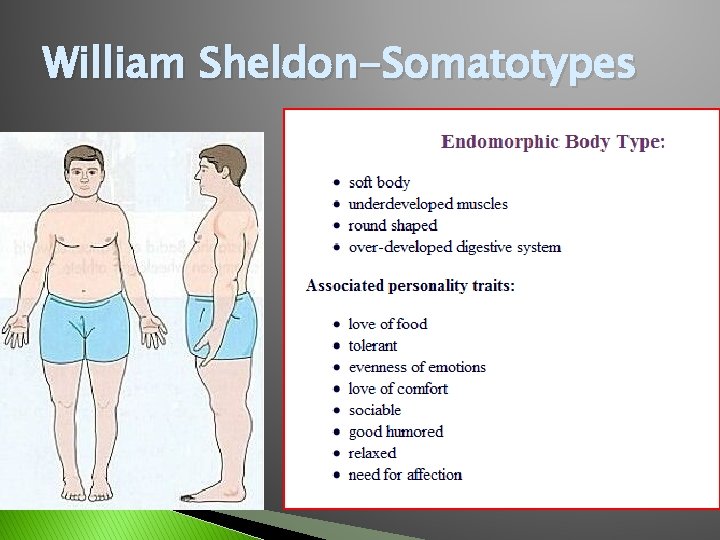 William Sheldon-Somatotypes 