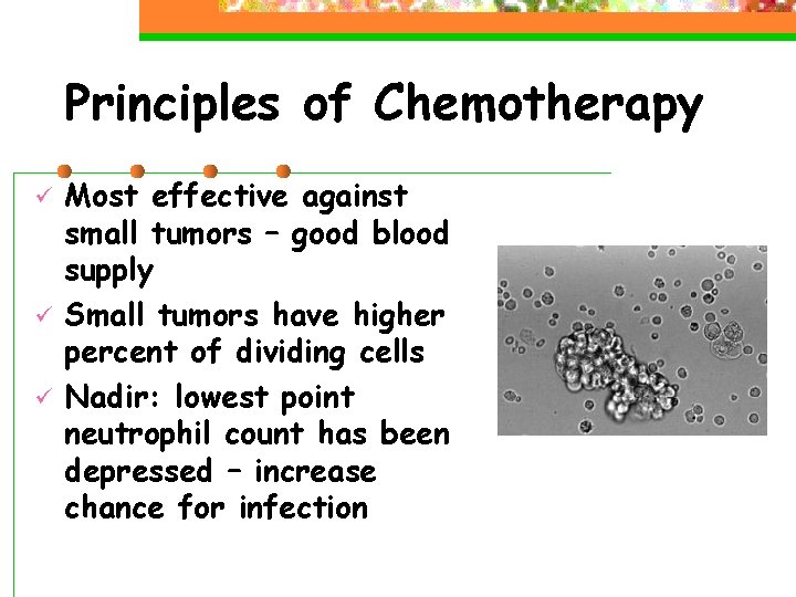 Principles of Chemotherapy ü ü ü Most effective against small tumors – good blood