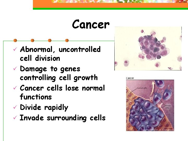 Cancer ü ü ü Abnormal, uncontrolled cell division Damage to genes controlling cell growth