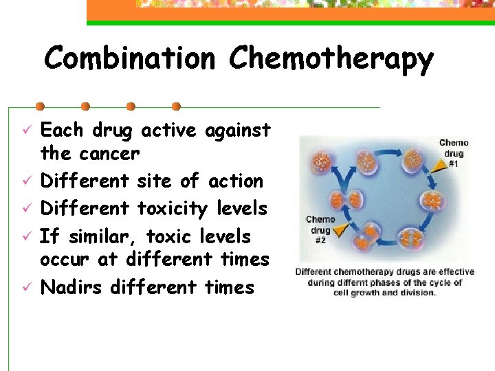 Combination Chemotherapy ü ü ü Each drug active against the cancer Different site of