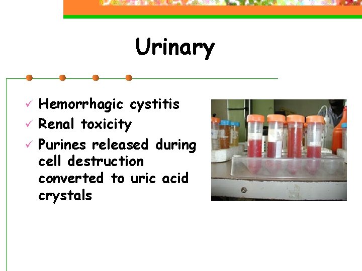 Urinary ü ü ü Hemorrhagic cystitis Renal toxicity Purines released during cell destruction converted