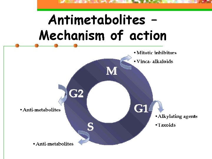 Antimetabolites – Mechanism of action 