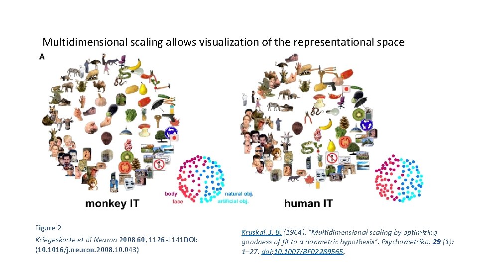 Multidimensional scaling allows visualization of the representational space Figure 2 Kriegeskorte et al Neuron