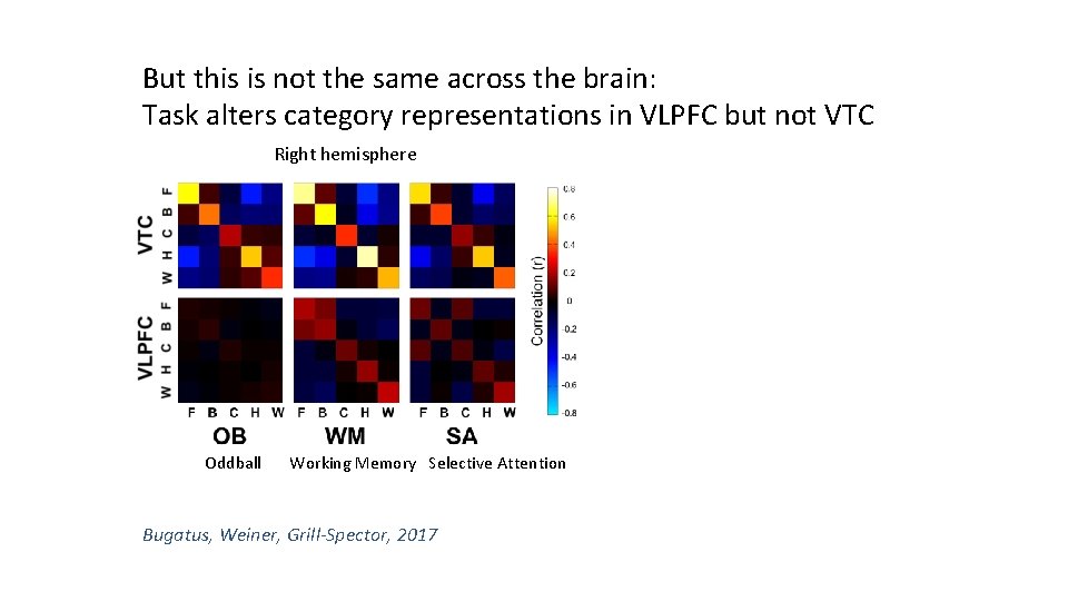 But this is not the same across the brain: Task alters category representations in