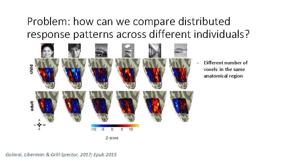 Problem: how can we compare distributed response patterns across different individuals? adult child -