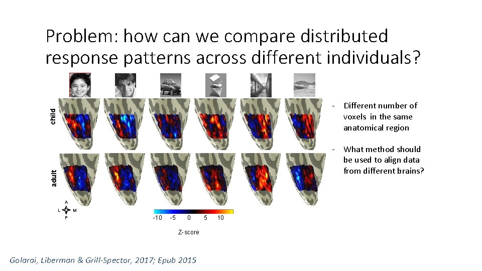 Problem: how can we compare distributed response patterns across different individuals? child - Different