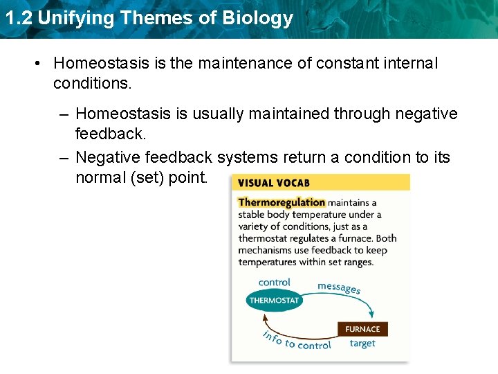 1. 2 Unifying Themes of Biology • Homeostasis is the maintenance of constant internal