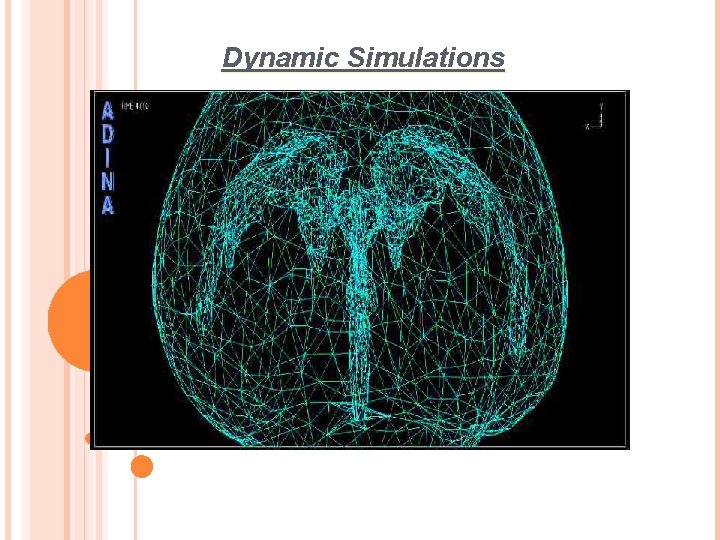 Dynamic Simulations 