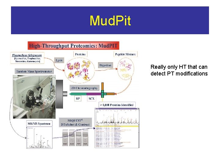 Mud. Pit Really only HT that can detect PT modifications 