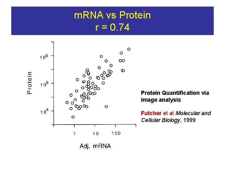 m. RNA vs Protein r = 0. 74 Protein Quantification via image analysis Futcher