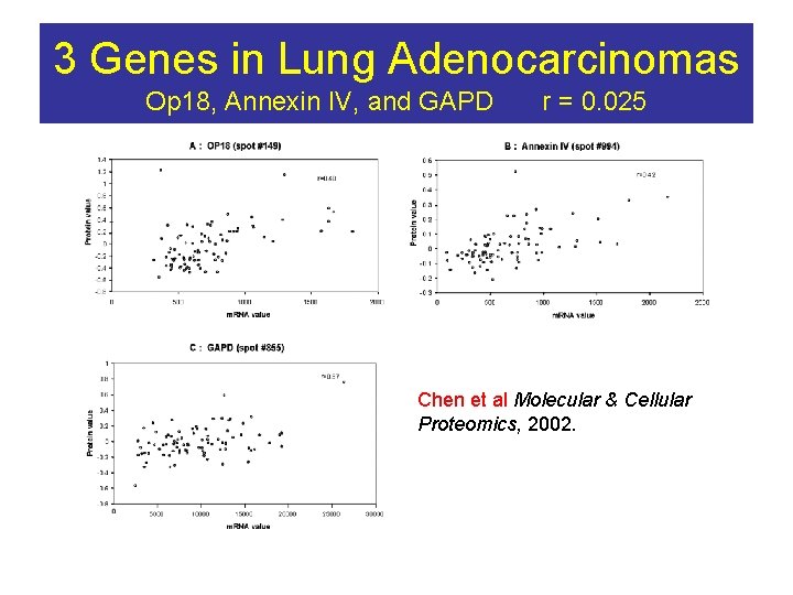 3 Genes in Lung Adenocarcinomas Op 18, Annexin IV, and GAPD r = 0.