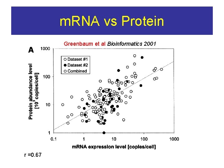 m. RNA vs Protein Greenbaum et al Bioinformatics 2001 r =0. 67 