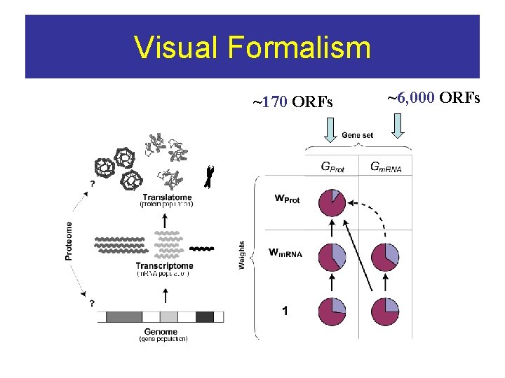 Visual Formalism ~170 ORFs ~6, 000 ORFs 