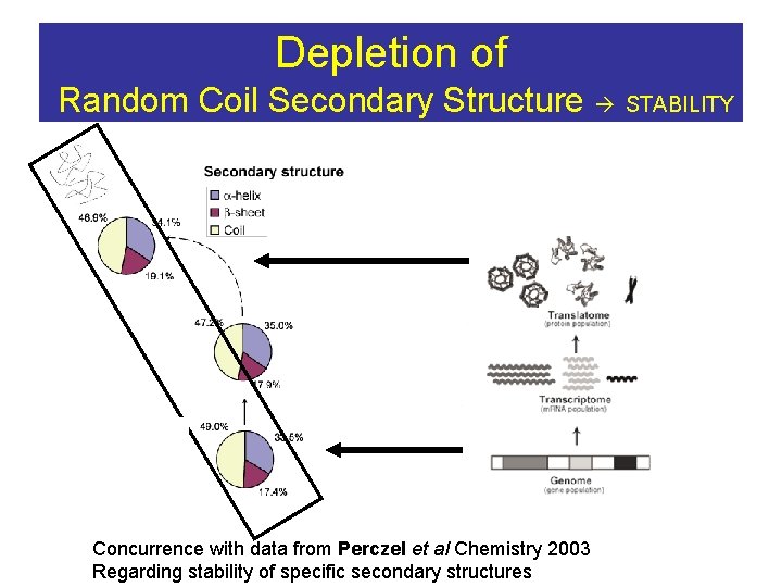 Depletion of Random Coil Secondary Structure STABILITY Concurrence with data from Perczel et al