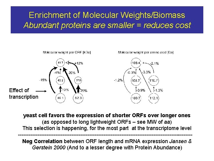 Enrichment of Molecular Weights/Biomass Abundant proteins are smaller = reduces cost Effect of transcription