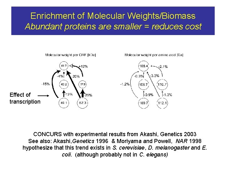 Enrichment of Molecular Weights/Biomass Abundant proteins are smaller = reduces cost Effect of transcription