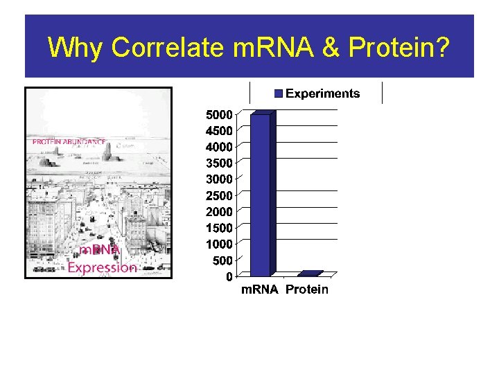 Why Correlate m. RNA & Protein? 