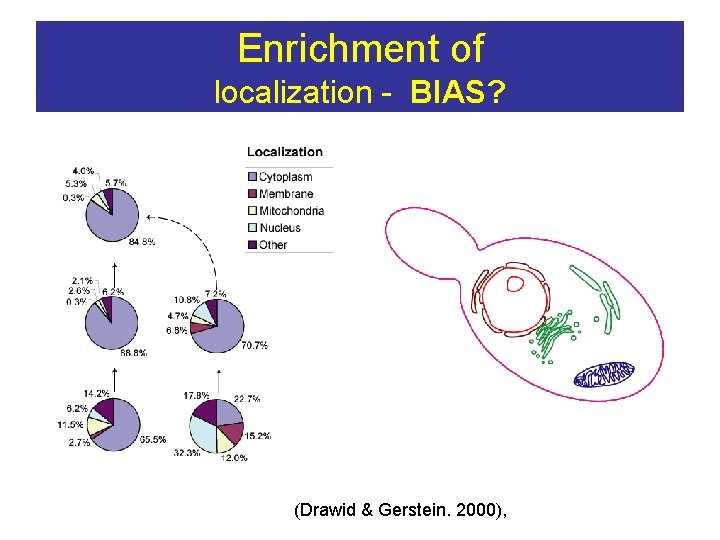 Enrichment of localization - BIAS? (Drawid & Gerstein. 2000), 