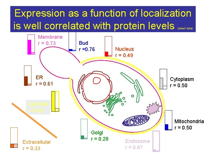 Expression as a function of localization is well correlated with protein levels (latest data)