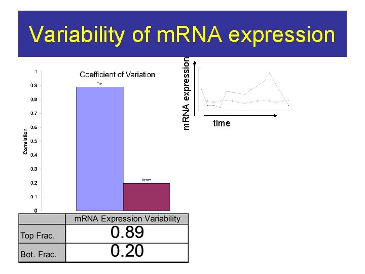 m. RNA expression Variability of m. RNA expression time 