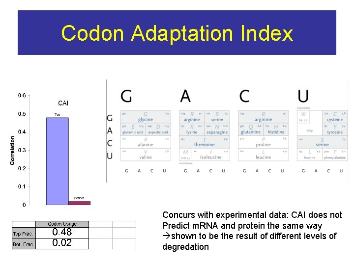 Codon Adaptation Index Concurs with experimental data: CAI does not Predict m. RNA and