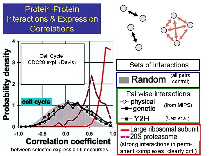 Protein-Protein Interactions & Expression Correlations Cell Cycle CDC 28 expt. (Davis) Sets of interactions