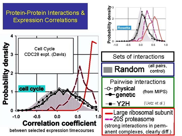 Protein-Protein Interactions & Expression Correlations Cell Cycle CDC 28 expt. (Davis) Sets of interactions