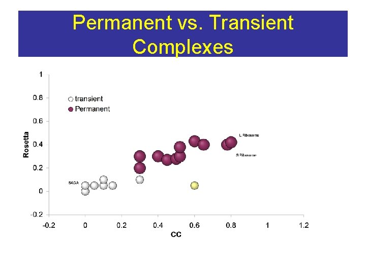 Permanent vs. Transient Complexes 