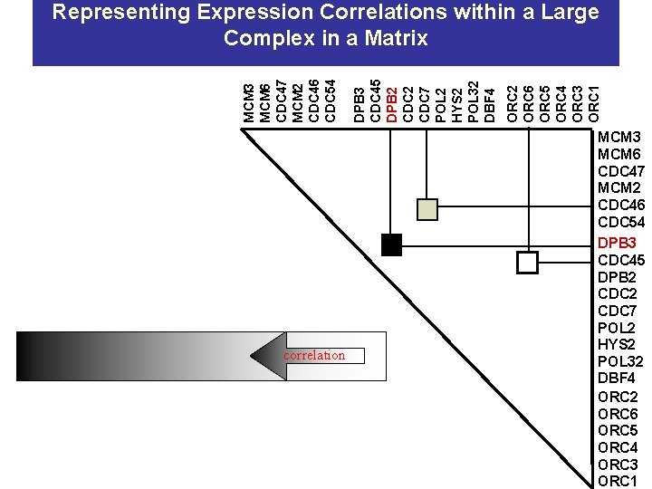 correlation ORC 2 ORC 6 ORC 5 ORC 4 ORC 3 ORC 1 DPB