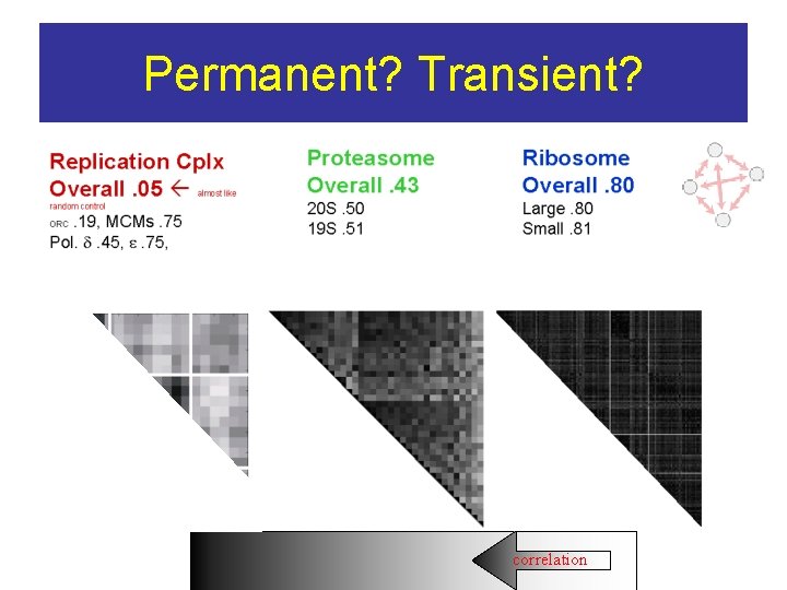 Permanent? Transient? correlation 