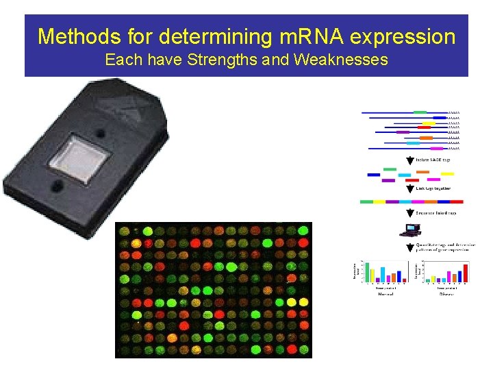 Methods for determining m. RNA expression Each have Strengths and Weaknesses 