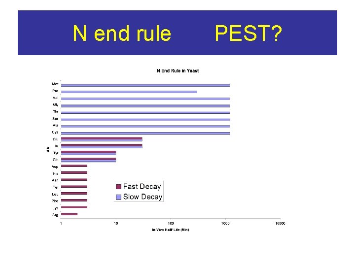 N end rule PEST? 