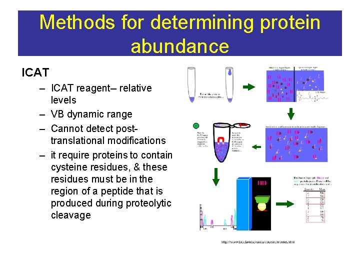 Methods for determining protein abundance ICAT – ICAT reagent-- relative levels – VB dynamic