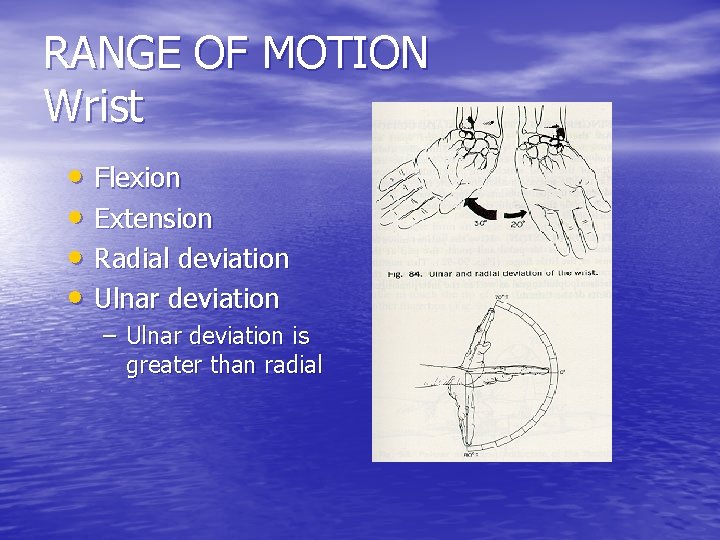 RANGE OF MOTION Wrist • Flexion • Extension • Radial deviation • Ulnar deviation